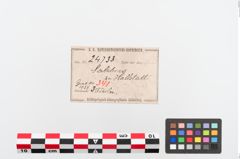 Etiketten zu Bronzebrillenfibel (NHMW-PRAE-024733)